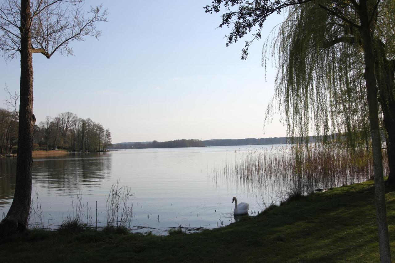 K8 - Am Kurpark - Therme Apartment